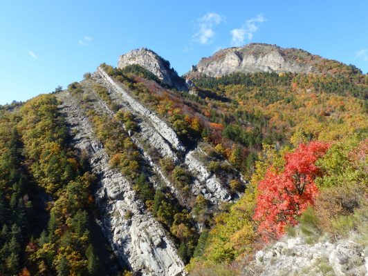 Mélans à Auribeau (7)-001