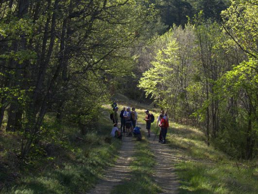 Randurance La Pérusse (1)