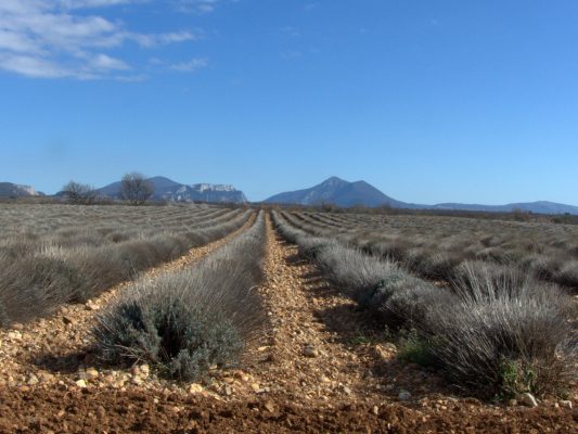 VAE Puimoisson Moustiers (13)